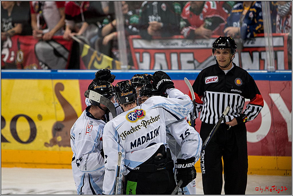 Koelner Haie - Straubing Tigers, 03.10.2016